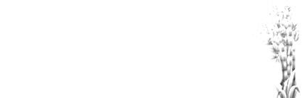 OLIVIER TERRA CAP HYPNOSE